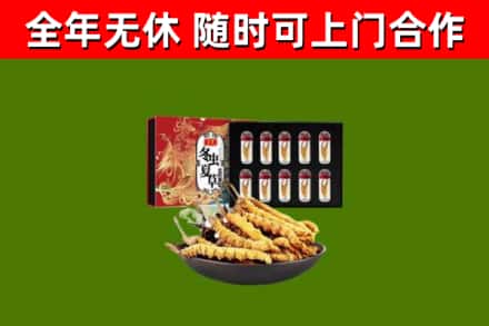 江阳回收冬虫夏草价格